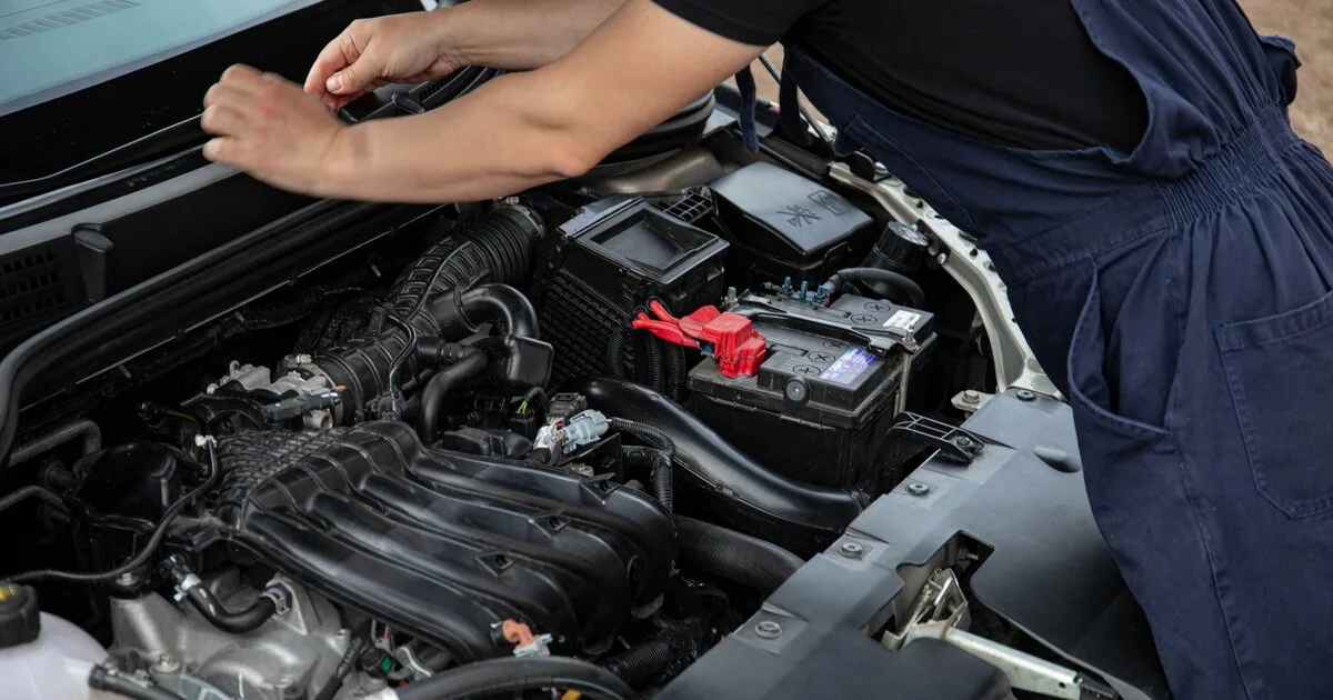 Volkswagen Polo ve Jetta Servisi